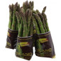 ASPERGE VERTE XL 8X420G